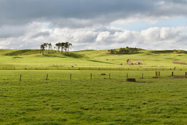 Grazing Space Available