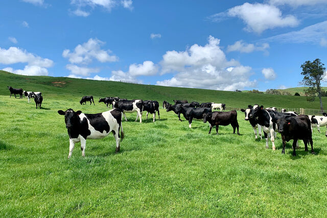 Stock Grazing Required